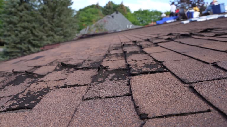 Best Metal Roofing Installation  in El Cerrito, CA